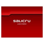 Tarjeta Snmp/Web Salicru Interna Web Adapter