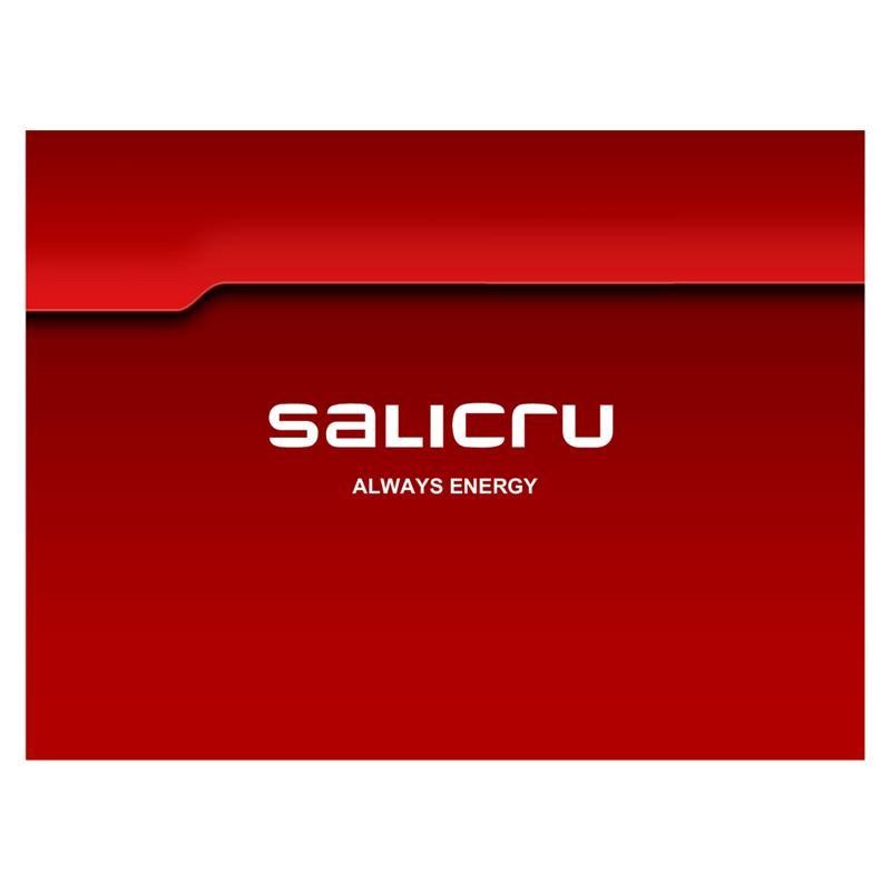 Tarjeta Snmp/Web Salicru Interna Web Adapter