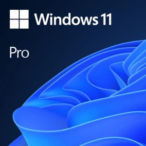 Windows 11 Professional 64 Bits sin DVD