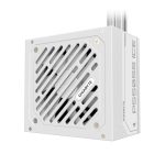 Fuente de Alimentación Gigabyte 550W 80+ ATX Silver